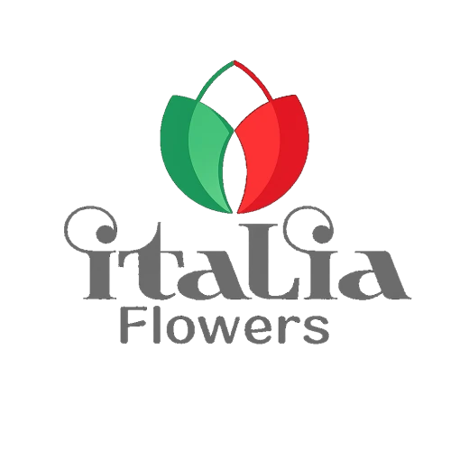 Italia Flowers