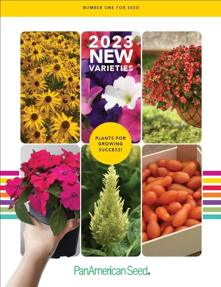 PanAmerican New Varieties 2023