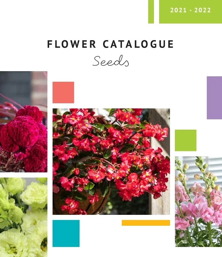 Sakata Seeds Catalogue 2022