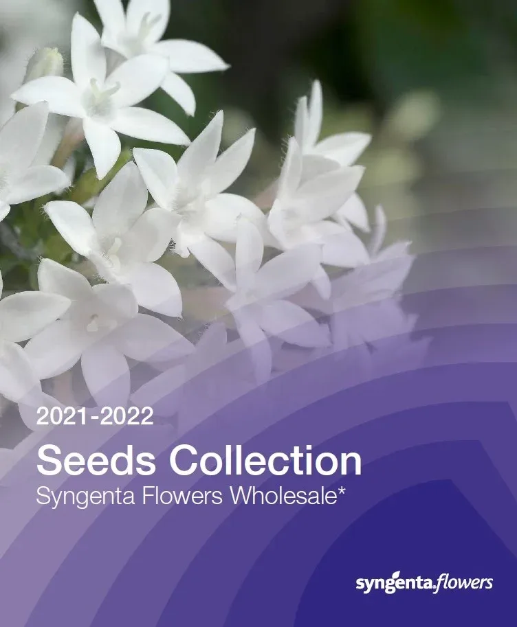 Syngenta Flowers Seed Catalogue 2021