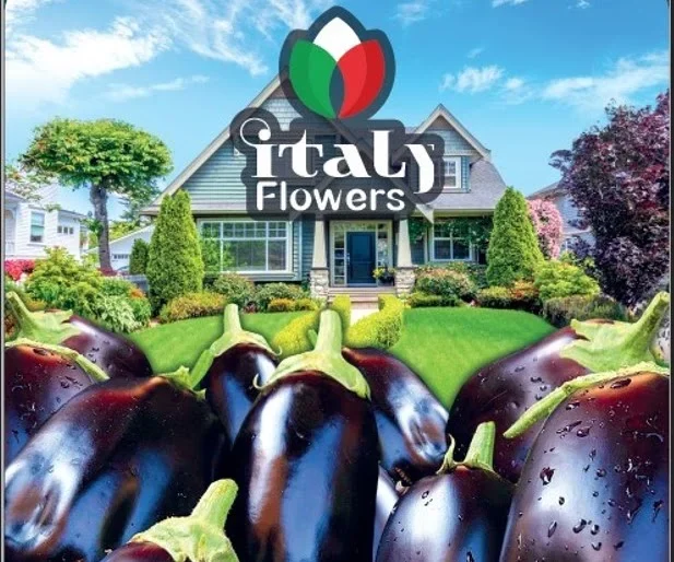 Vegetable Seeds & Featured Flowers