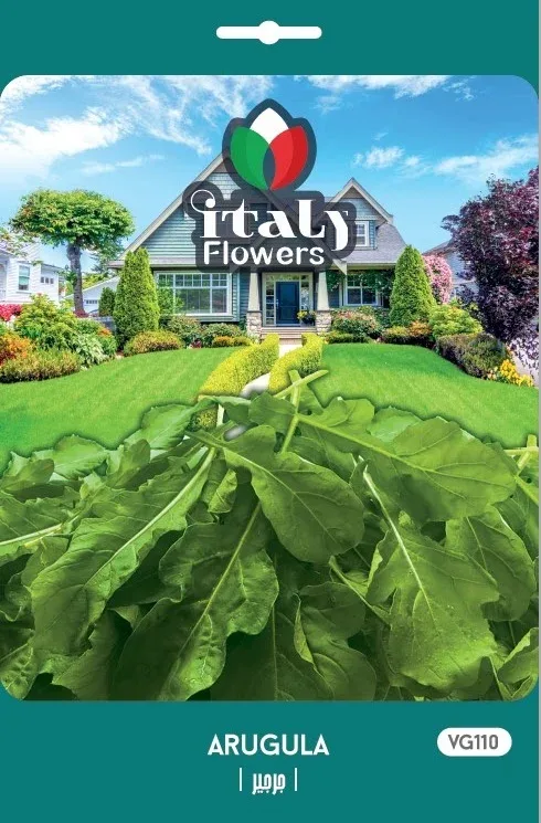 Arugula
