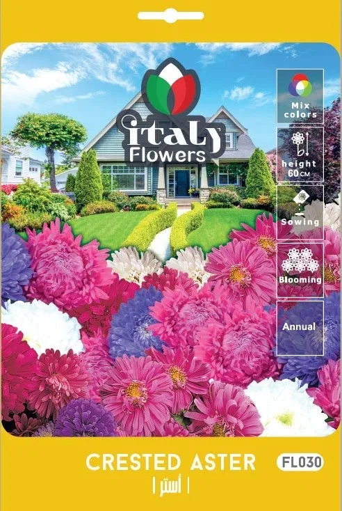 Aster