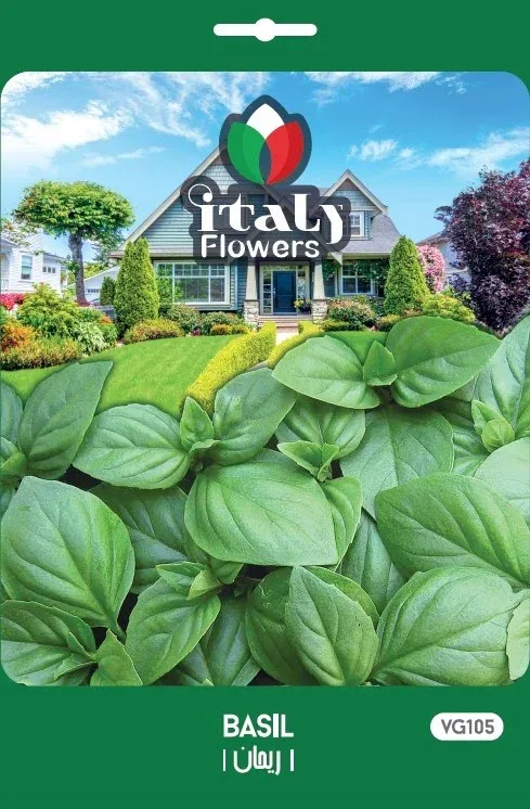 Basil
