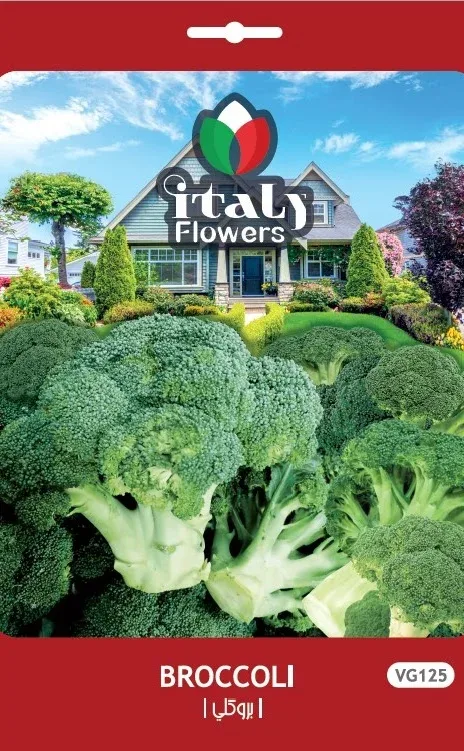 Broccoli