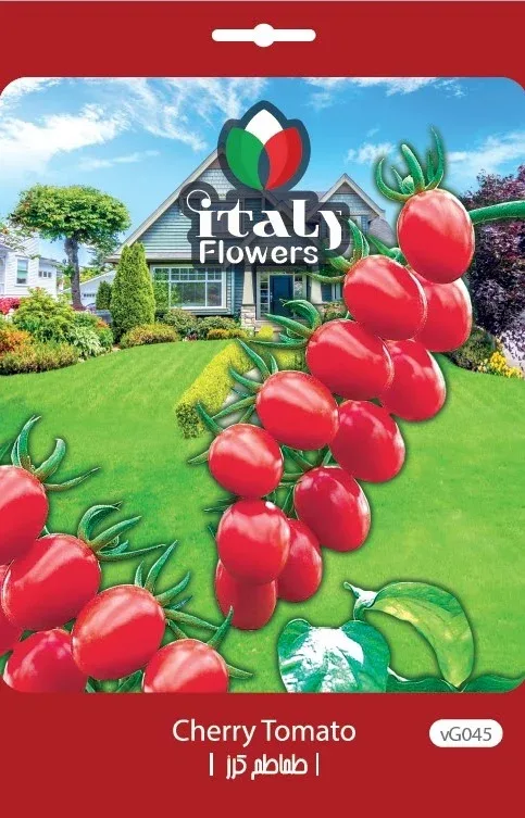 Cherry Tomato