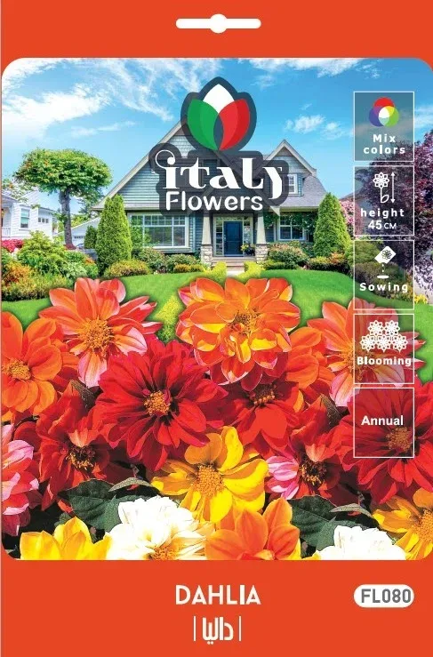 Dahlia