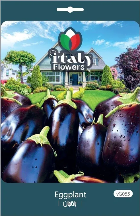 Eggplant