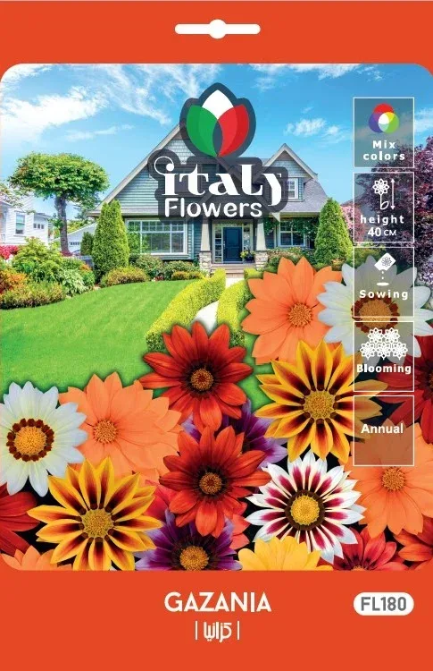 Gazania