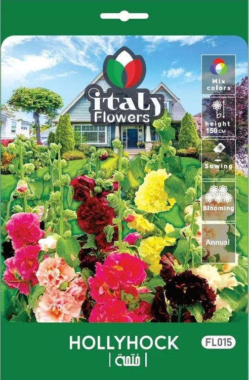 Hollyhock