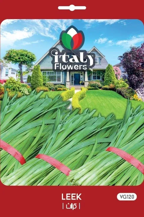 Leek