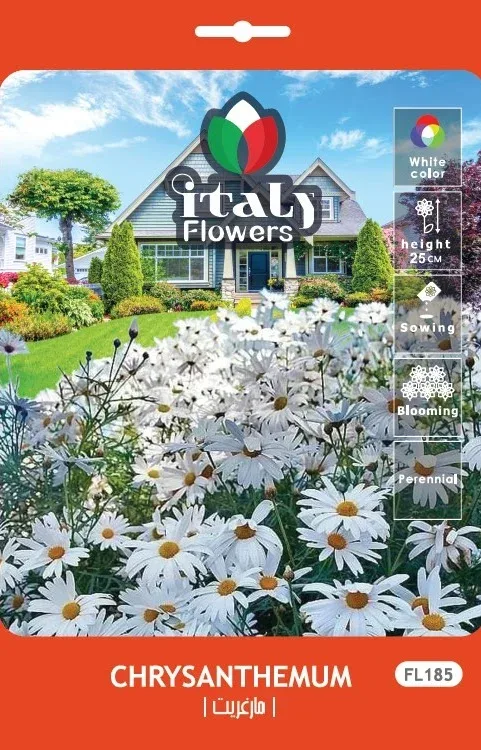 Marguerite