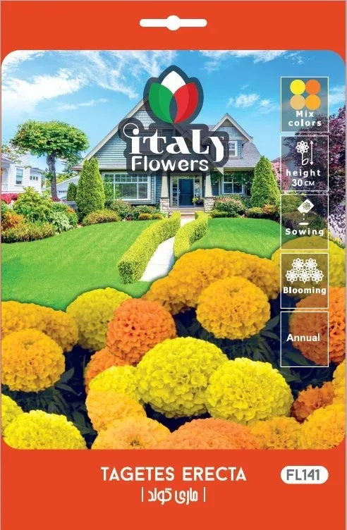 Marigold