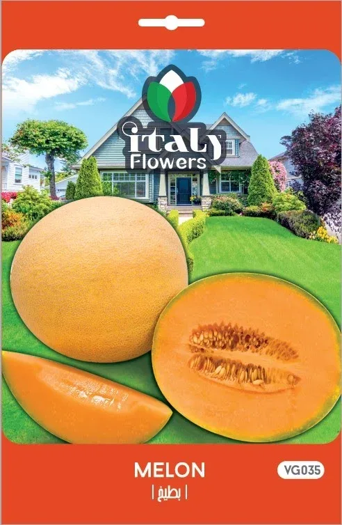 Melon