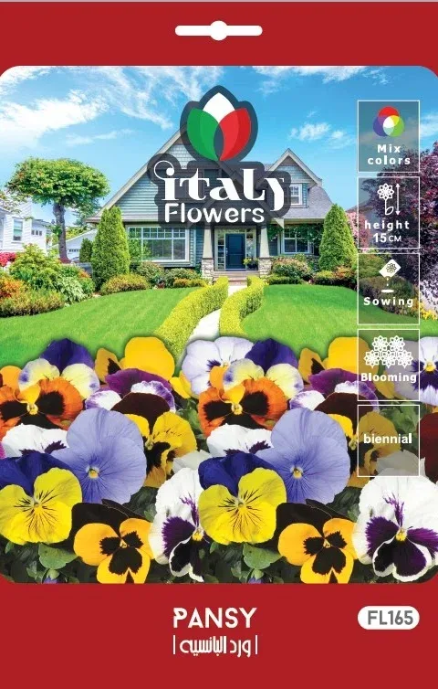 Pansy