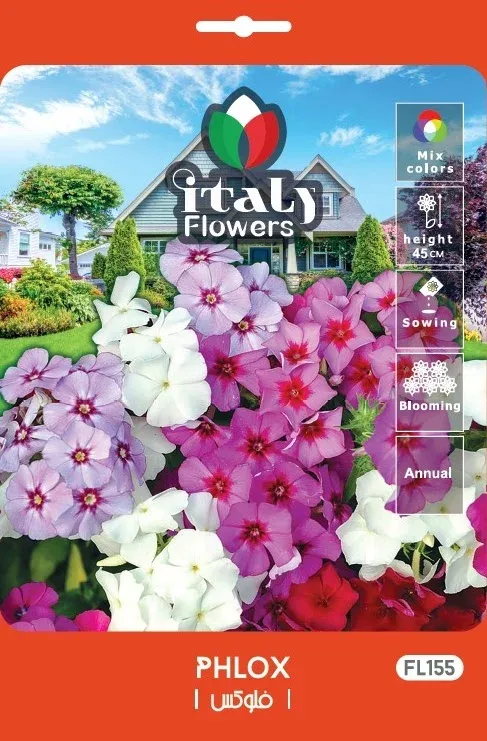 Phlox
