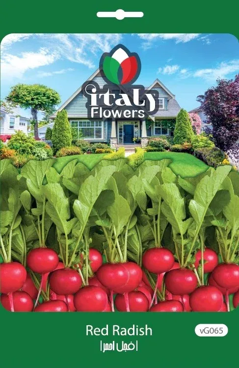 Red Radish