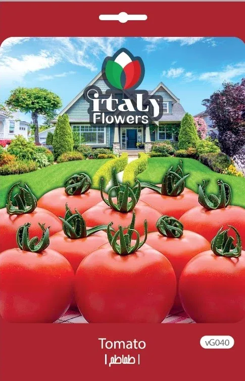 Tomato