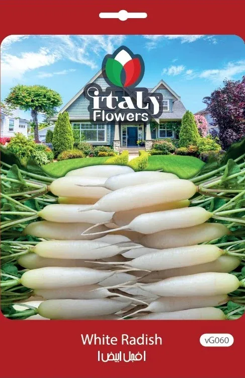 White Radish