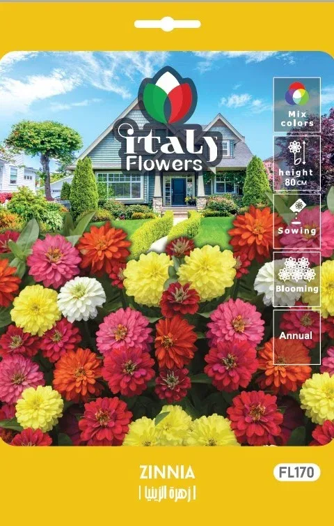 Zinnia